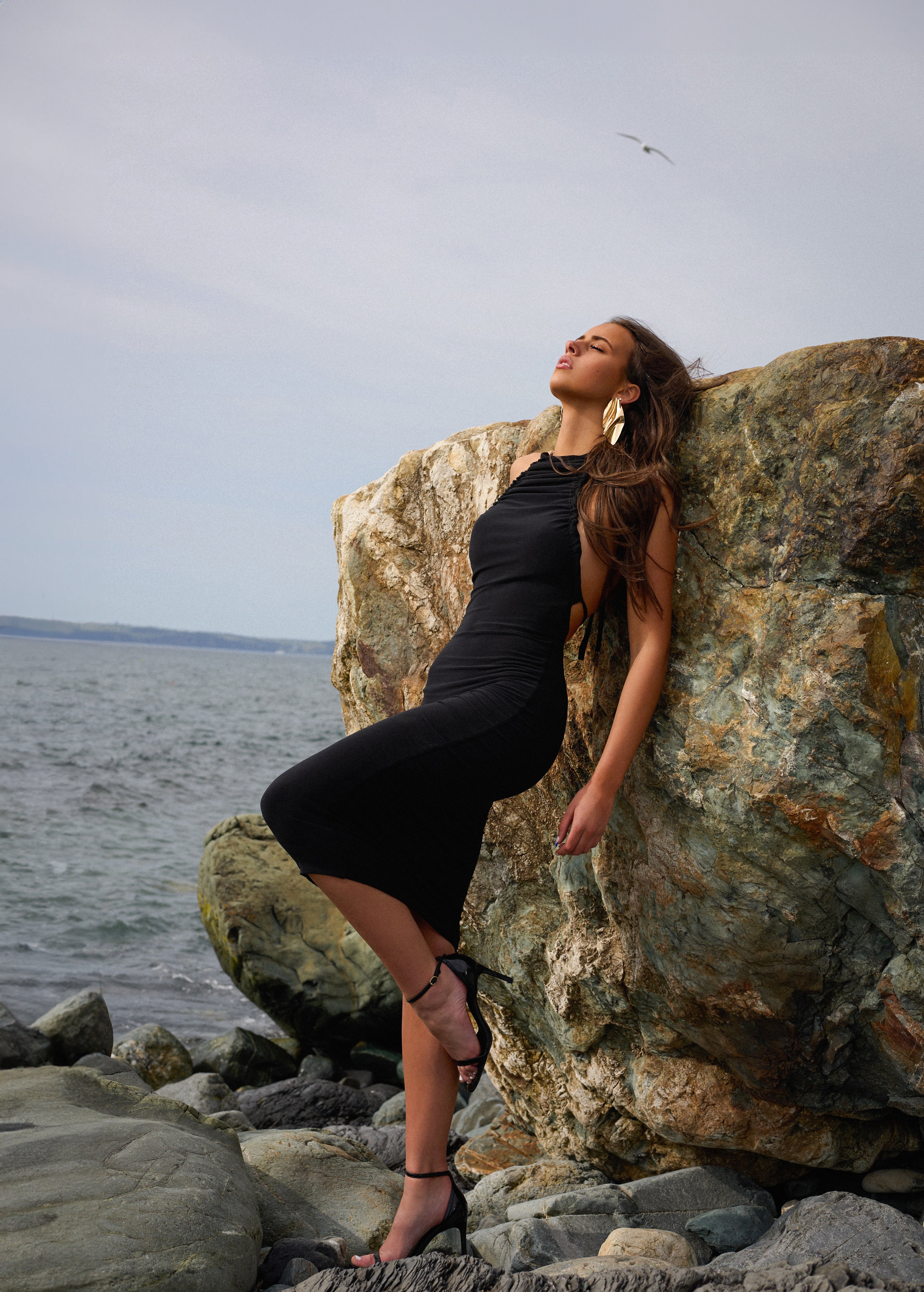 Serafina Cocktail Dress
